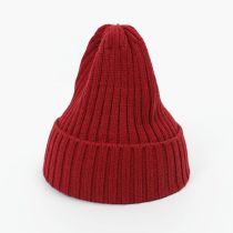 Fashion Red Polyester Knitted Rolled Edge Beanie
