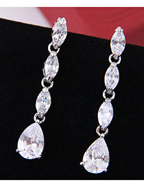 Elegant Zircon Oval Shape Diamond Decorated Earrings